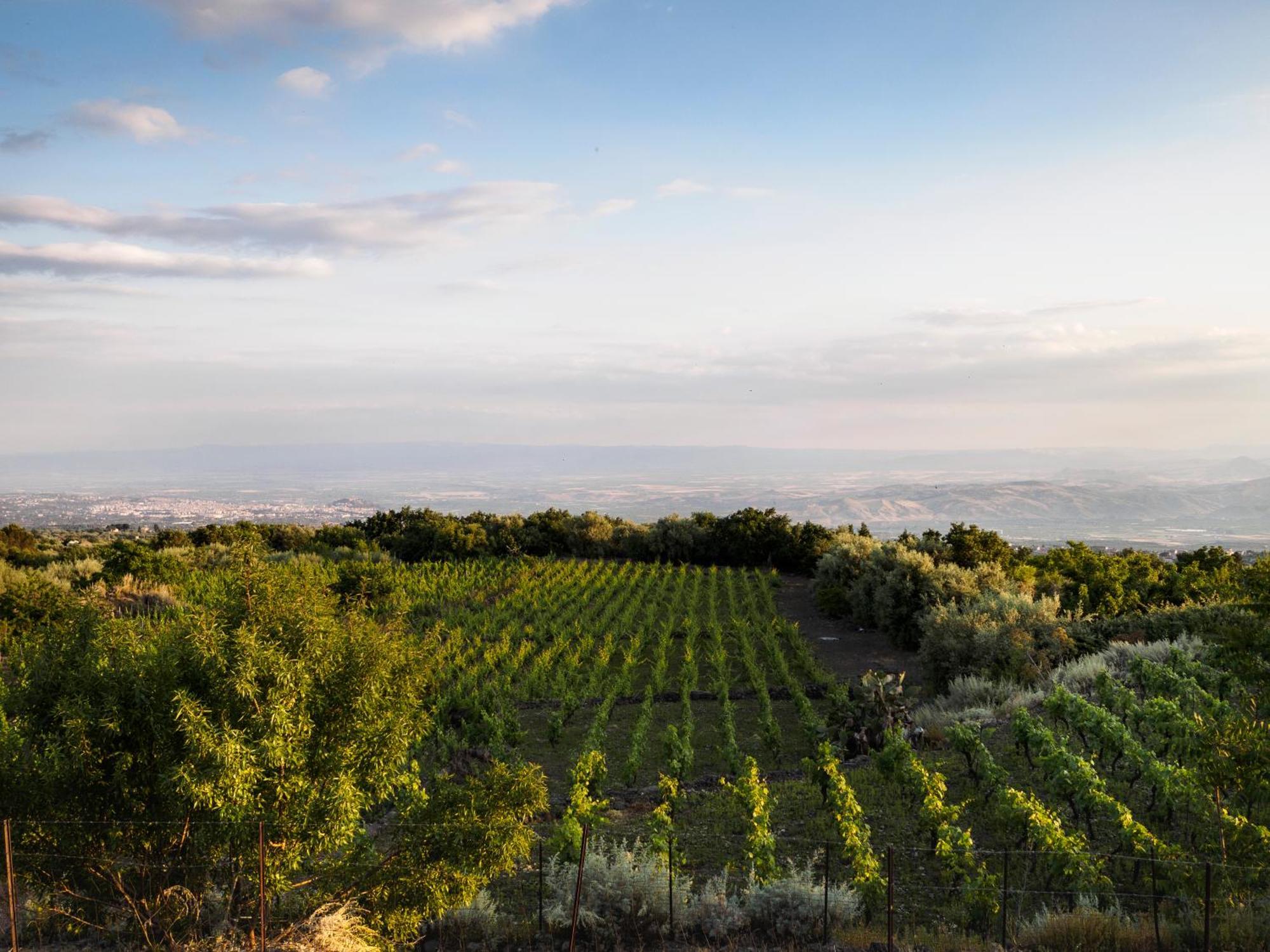 Podere Dell'Etna Segreta - Essential Nature Hotel & Glamping Biancavilla Exteriör bild